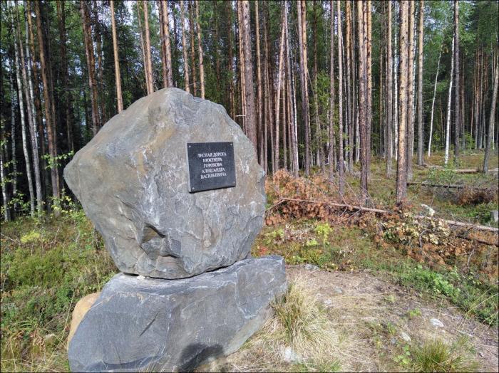 Верхний камень. Мемориальный камень табличка. Памятная табличка на Камне. Лесная дорога инженера Горохова. Костомукша Пограничная зона.