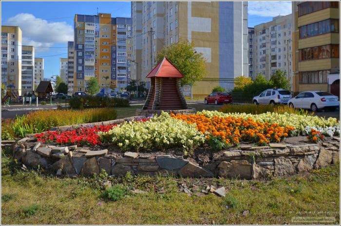 Клумба казань доставка. Клумба Казань. Клумба магазин цветов. Клумбы у магазинов Арбат. Клумбы в Казани фото.