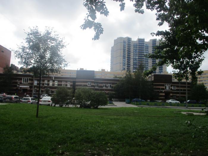 Отдел социальной защиты населения приморского района. Спб котельникова 2 мфц приморского. Мфц аллея котельникова 2. Спб аллея котельникова 1. Санкт-петербург метро пионерская аллея котельникова 4.