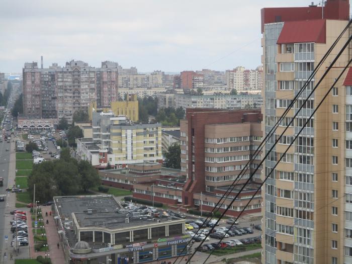 Озерки санкт петербург. Шувалово-Озерки Санкт-Петербург. Шувалово Озерки. Микрорайоны Санкт Петербурга Озерки. ЖК Шувалово Озерки.