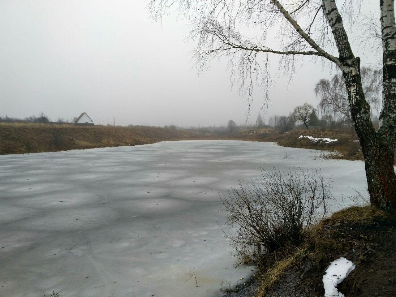 Жк репинские пруды