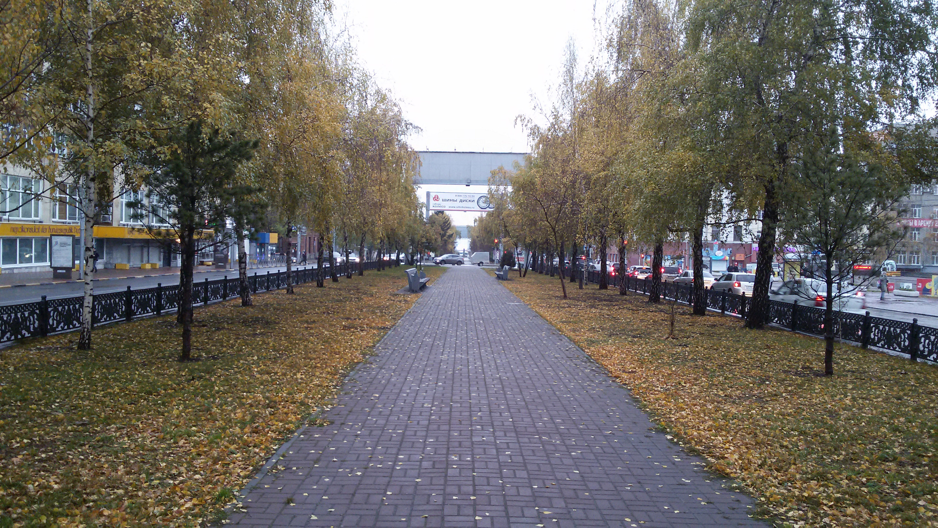 Аллеи кемерово. Аллеи Новосибирска. Аллея городов Новосибирск. Парк аллея городов Новосибирск. Кировский район аллеи Новосибирск.