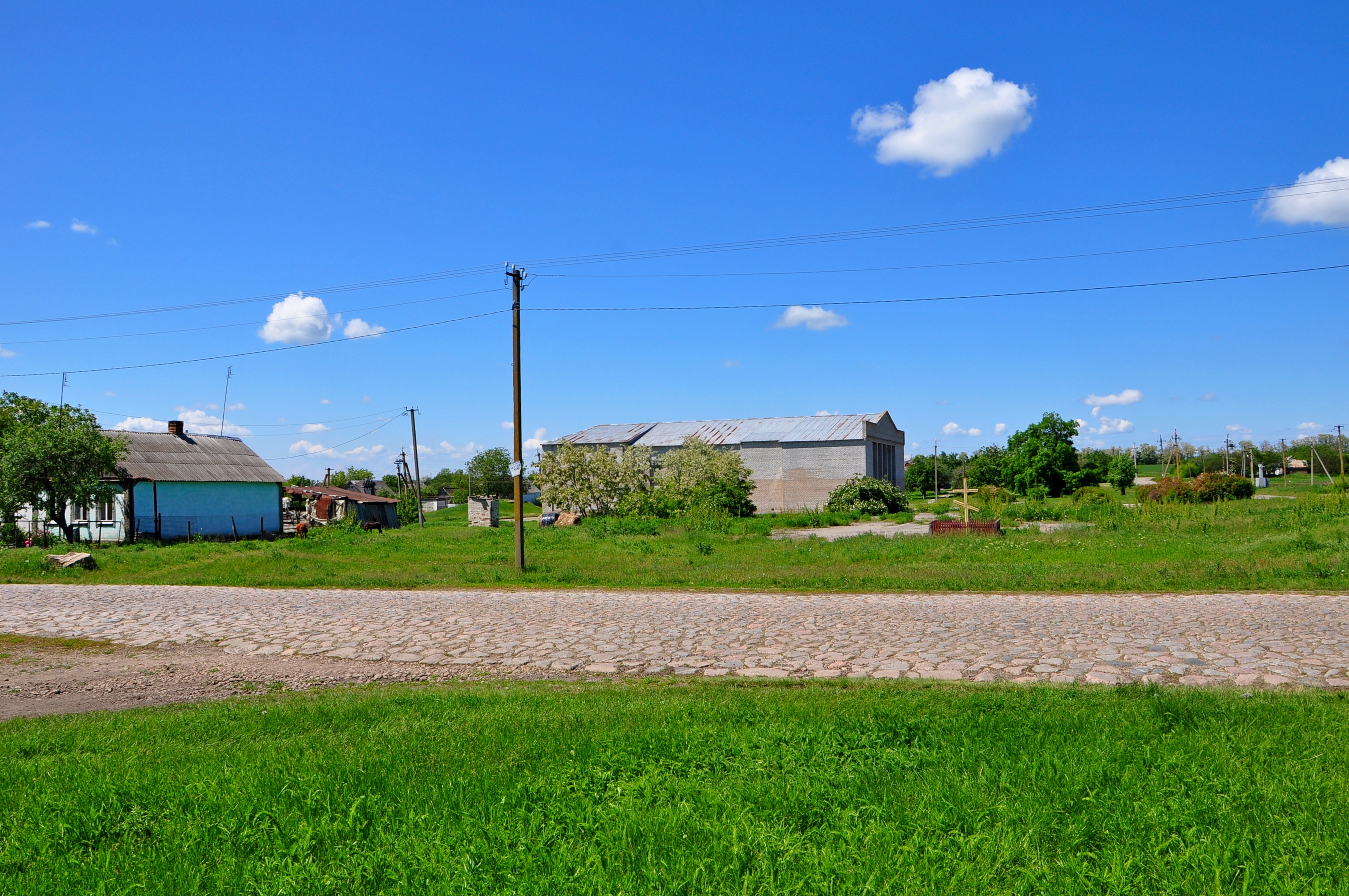 Село населять. Нововасильевка Украина. Село Нововасильевка. Нововасильевка Запорожская область Приазовский район. Нововасильевка (Крым).