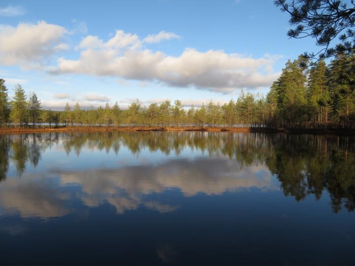 Lake отзывы. Озеро Питкяярви Ленинградская область. Озеро Питкеярви Всеволожский район. Озеро Куореярви Карелия. Озеро Ликолампи.