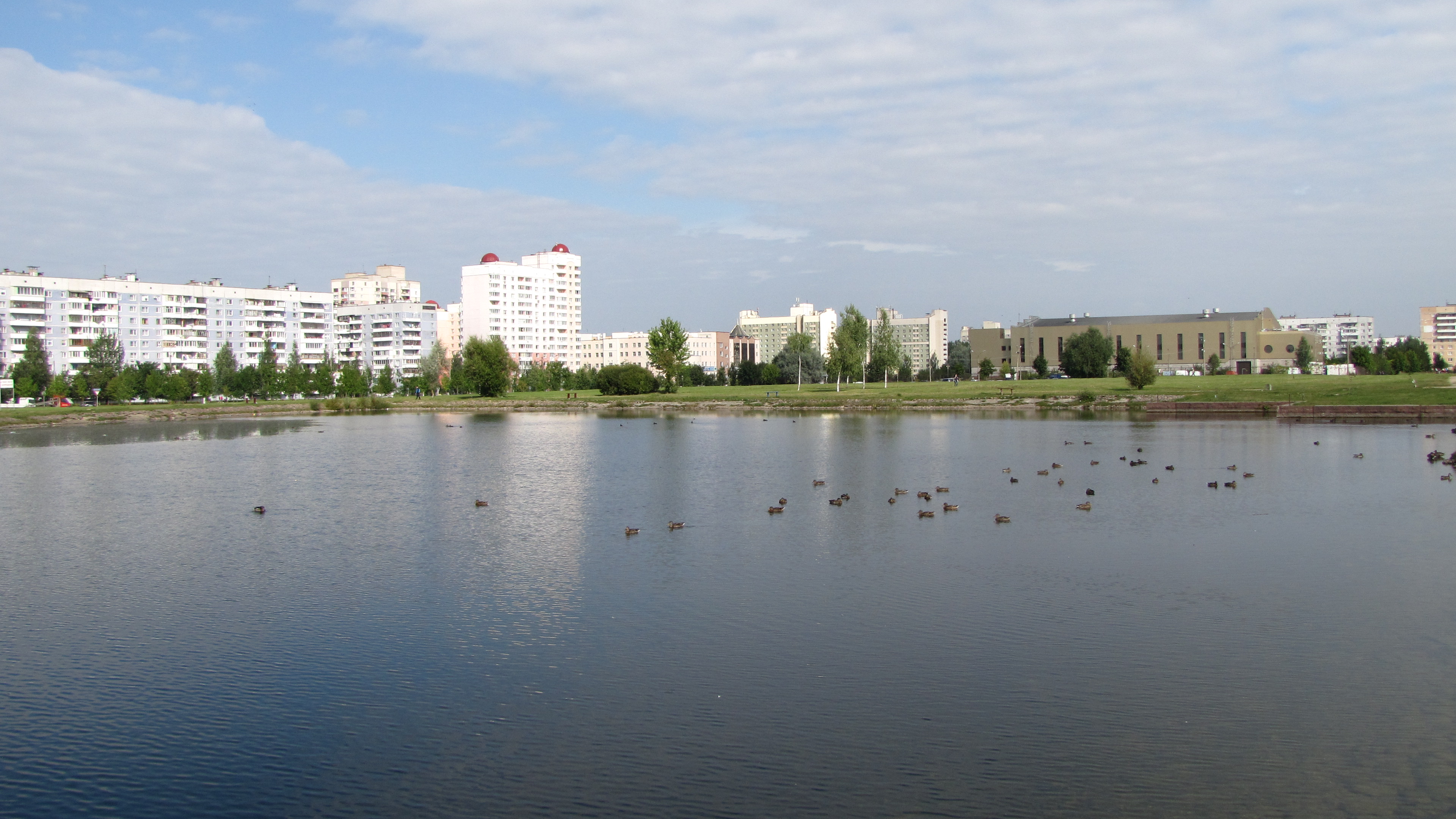 Ближайшие водохранилище. Витебский пруд. Водоемы Витебска. Витебский пруд Москва. Озеро на Витебском проспекте фотографии.