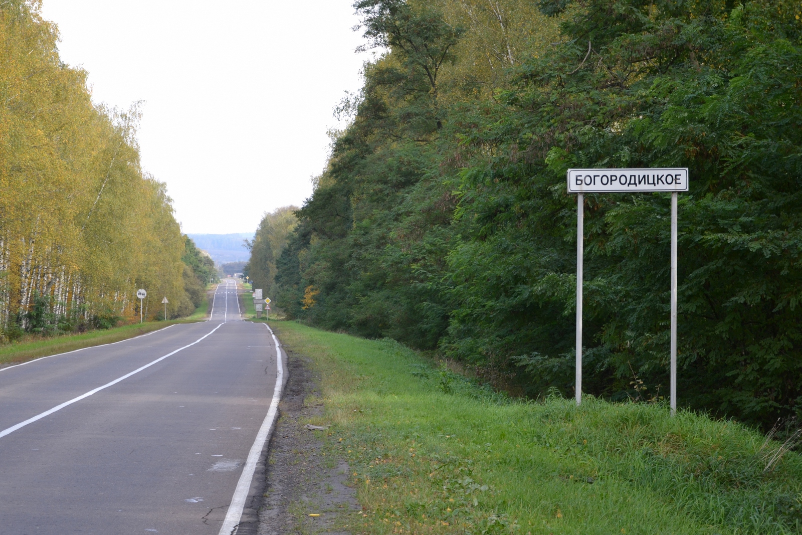 Погода в селе богородицком ростовской. Село Богородицкое Орловской области. Богородицкое Орловская область Хотынецкий район. Орловская область Хотынецкий Богородицкое. Школа село Богородицкое Хотынецкий район.