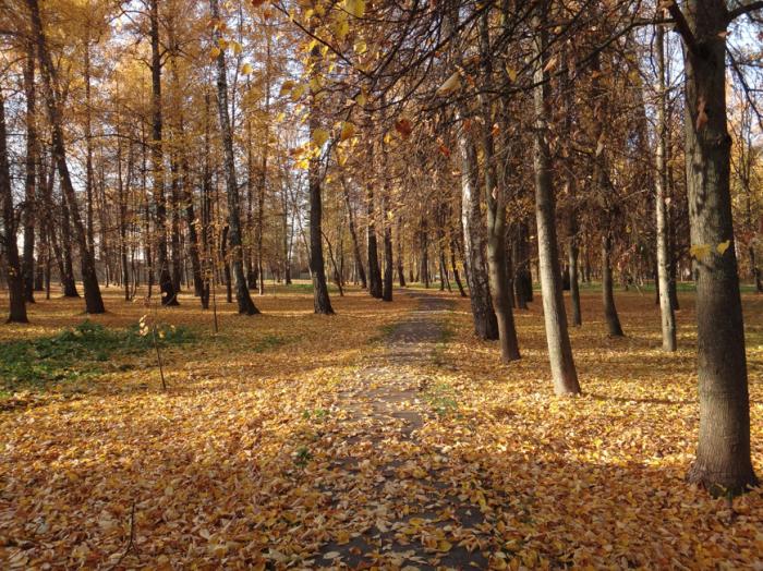 Парк барыши щербинка фото