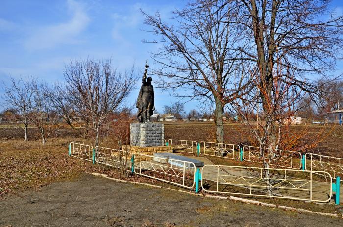 Купить Квартиру В Токмаке Запорожской Области