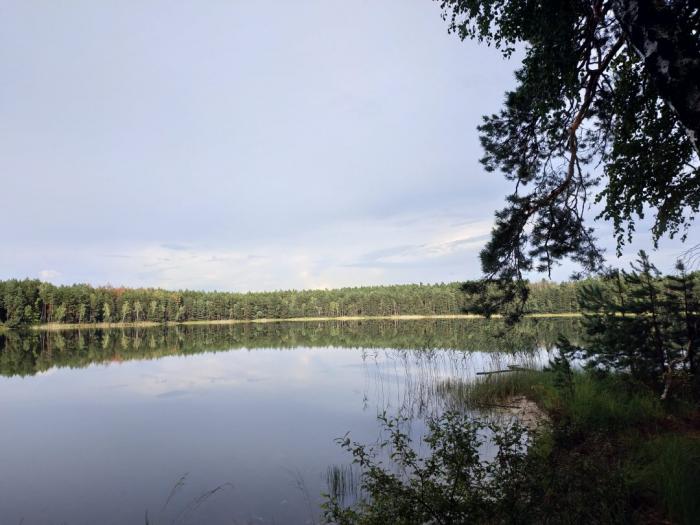 Погода хоромное климовского брянской