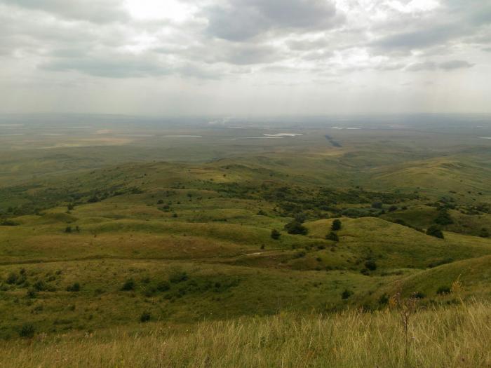 Стрижамент ставрополь фото