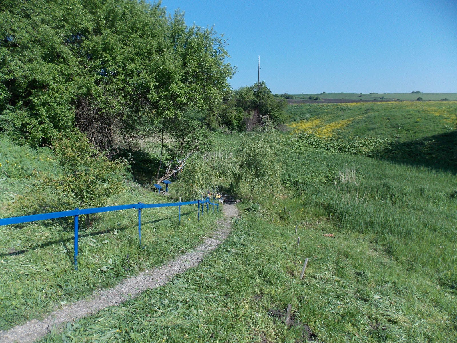 Село соленое мостовской