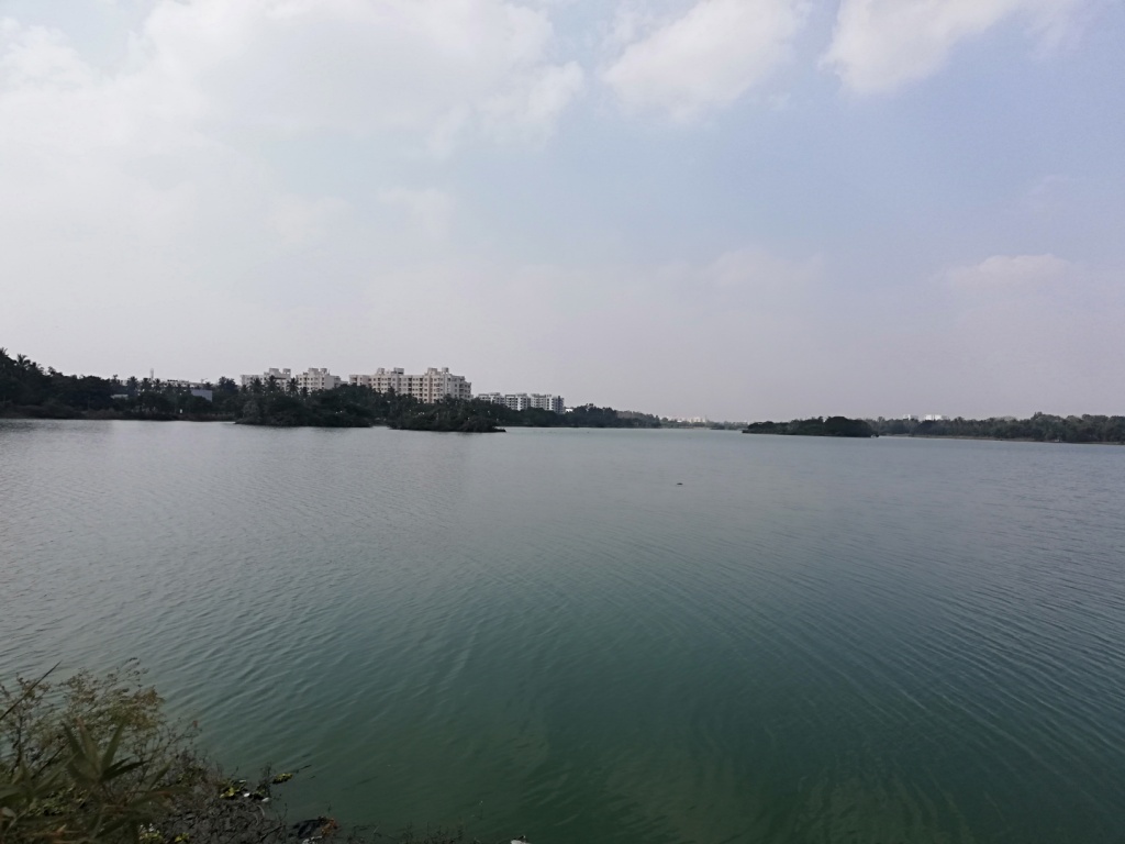 Jakkur Lake - Paradise for Birds - Bengaluru | birdwatching area