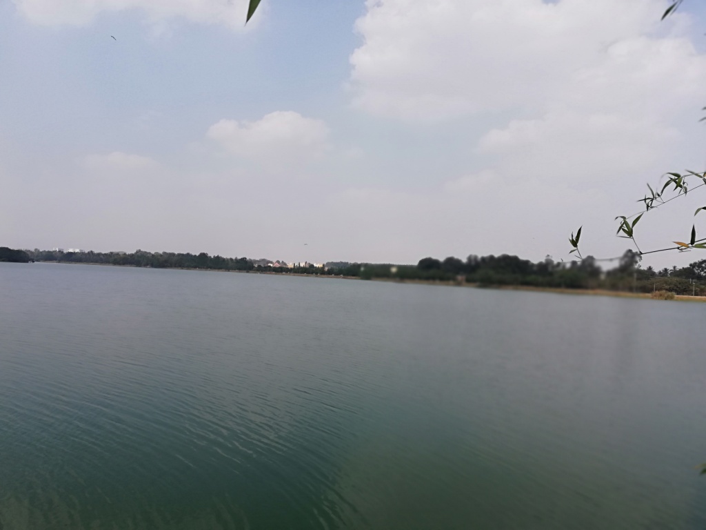 Jakkur Lake - Paradise for Birds - Bengaluru | birdwatching area