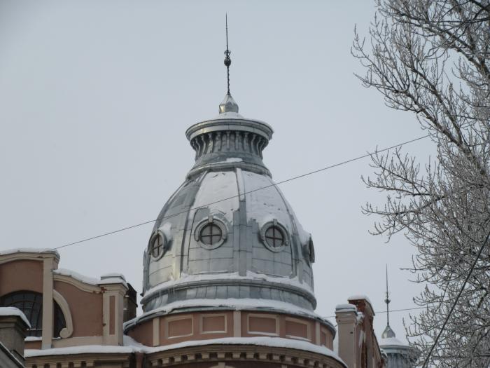 Веретенообразная башенка. Башня инфиделя хабаровск. Навесная башенка на доме. Башенка или башинка. Башенки санкт-петербурга.