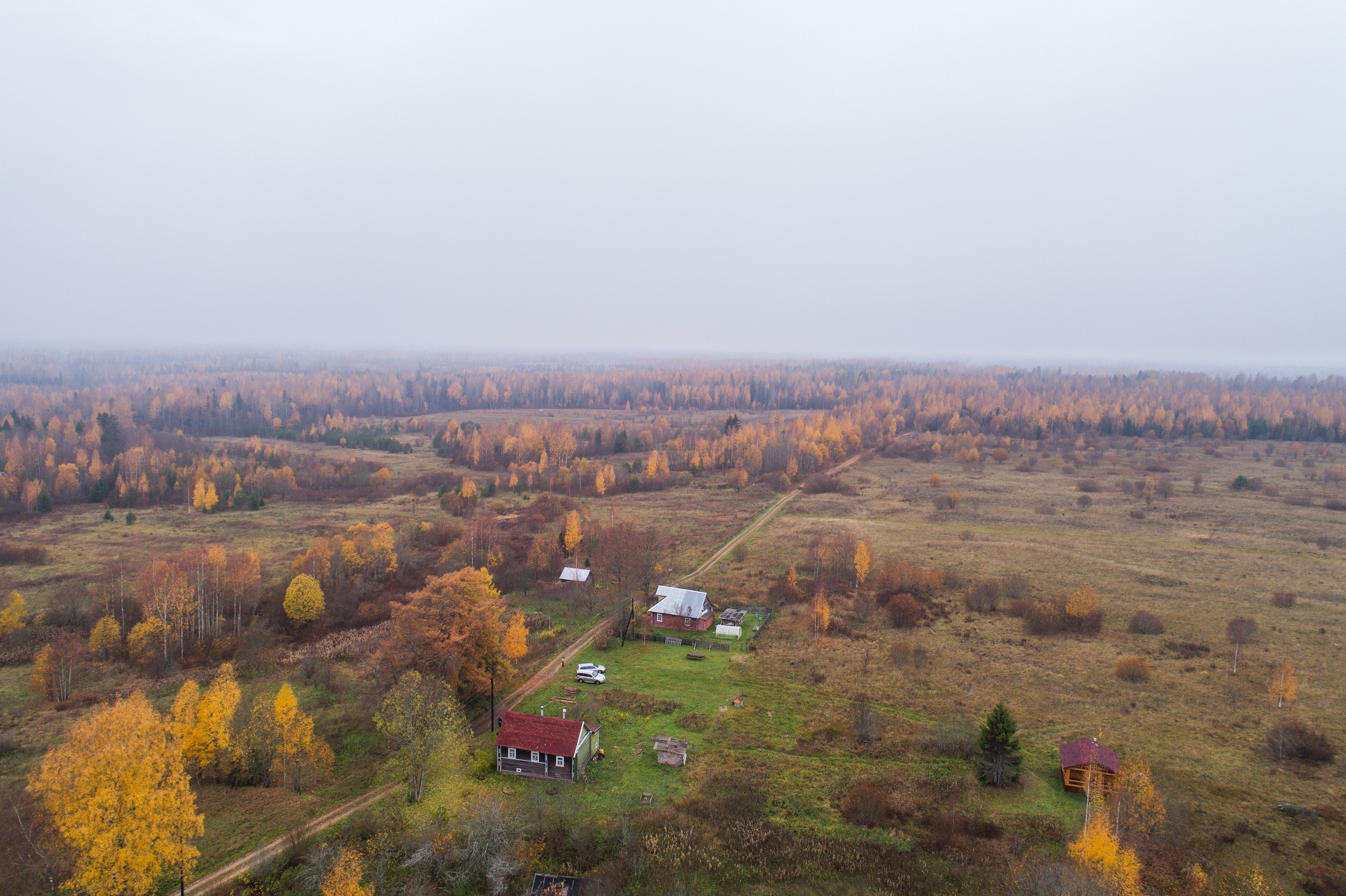 Дер придорожная. Кривое колено Новгородская область. Придорожная Новгородская область. Смерденицы Новгородская область. Дом по липой  деревня Придорожная Любытино.