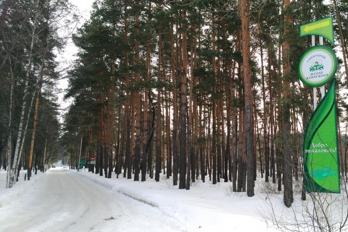 Санаторий лесная жемчужина котовск фото