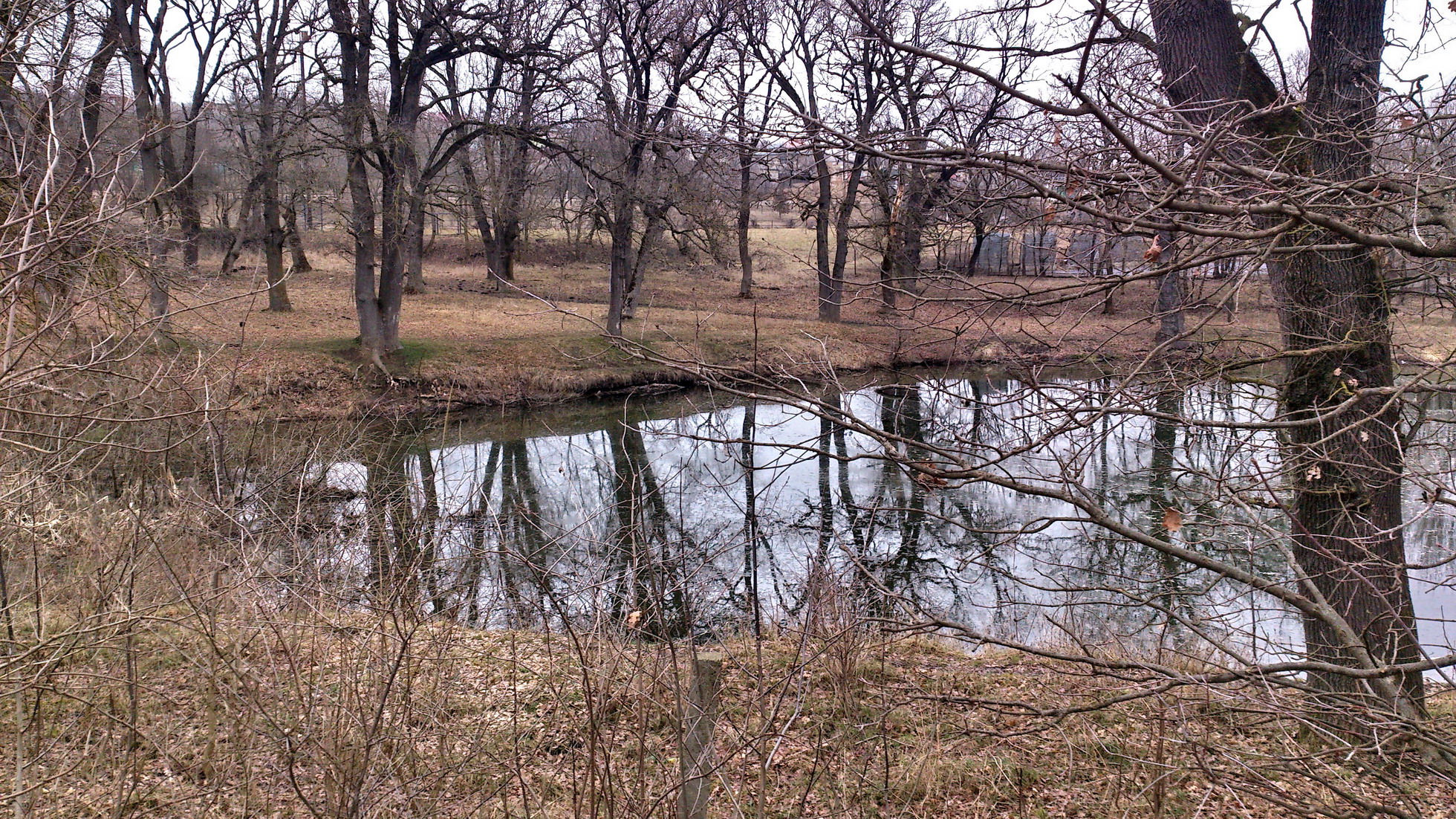 ставрополь урочище ртищева. ртищев пруд ставрополь история. эммануэльевское урочище в ставрополе. ртищев пруд ставрополь.