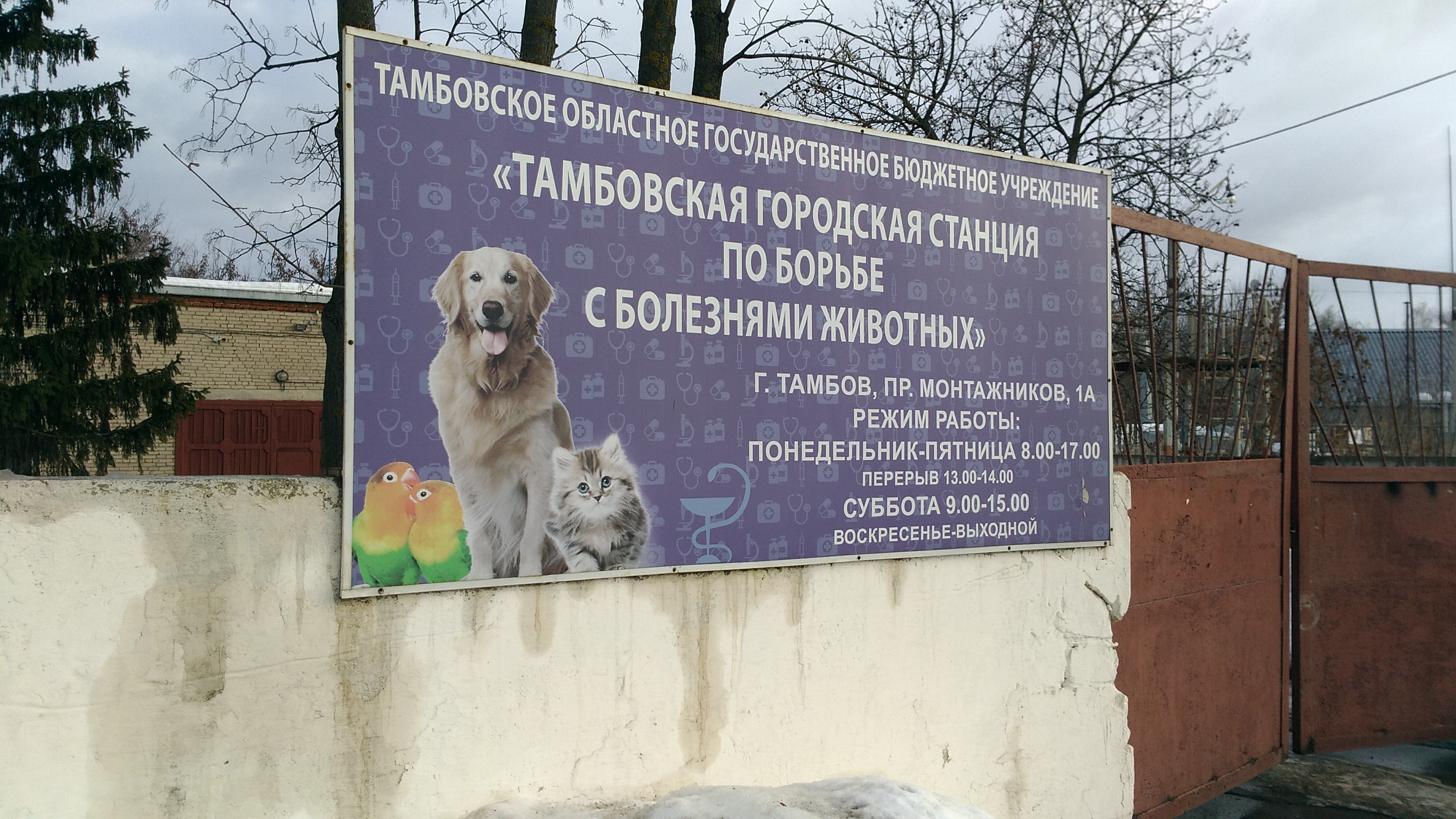 Станция по борьбе с болезнями животных тамбов