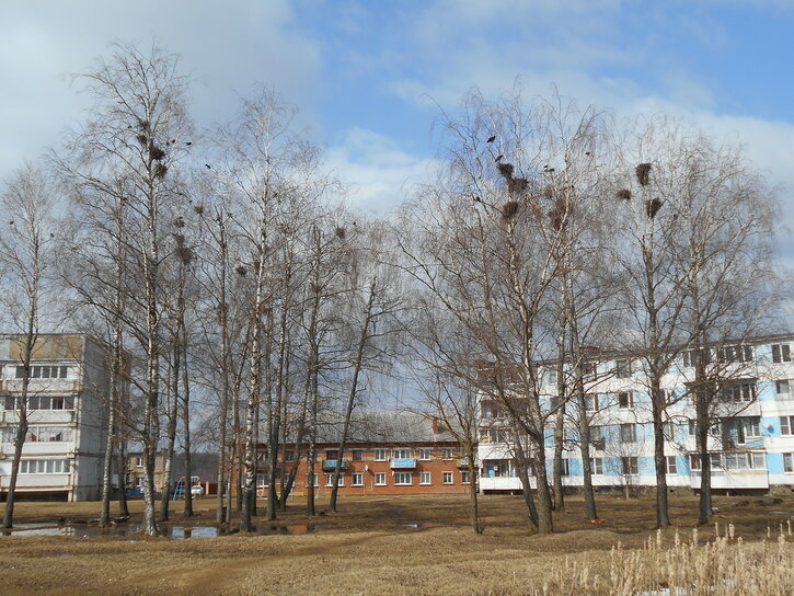 Наро фоминский городской. Веселево Наро-Фоминский район. Администрация деревня Веселево Наро-Фоминский район. Веселевское сельское поселение Наро-Фоминский район. Д. Веселево Наро-Фоминского р-на.