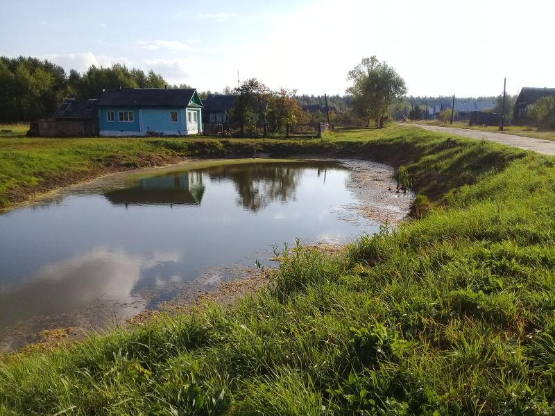 деревня добрятино владимирская область гусь-хрустальный район. поселок добрятино гусь хрустальный район. добрятино гусь хрустальный. полигон в добрятино владимирской области. деревня добрятино владимирская область гусь-хрустальный район.