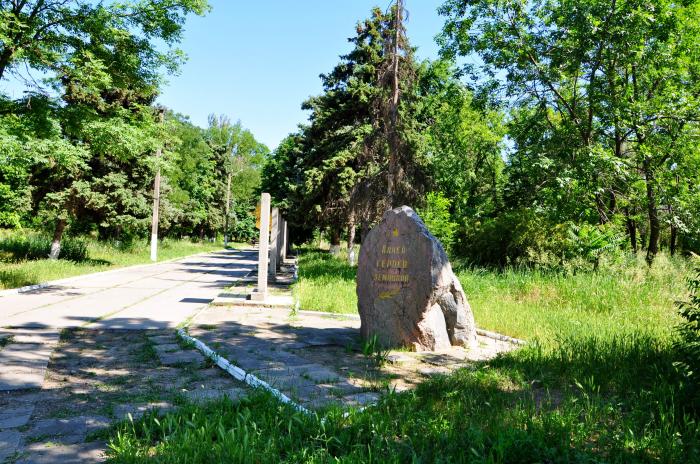 Каменка днепровская. Аллея в Каменке. Каменка Днепровская Запорожская область Пионерский лагерь. Каменско-Днепровский храм памятник. Ежиков Каменка Днепровская.