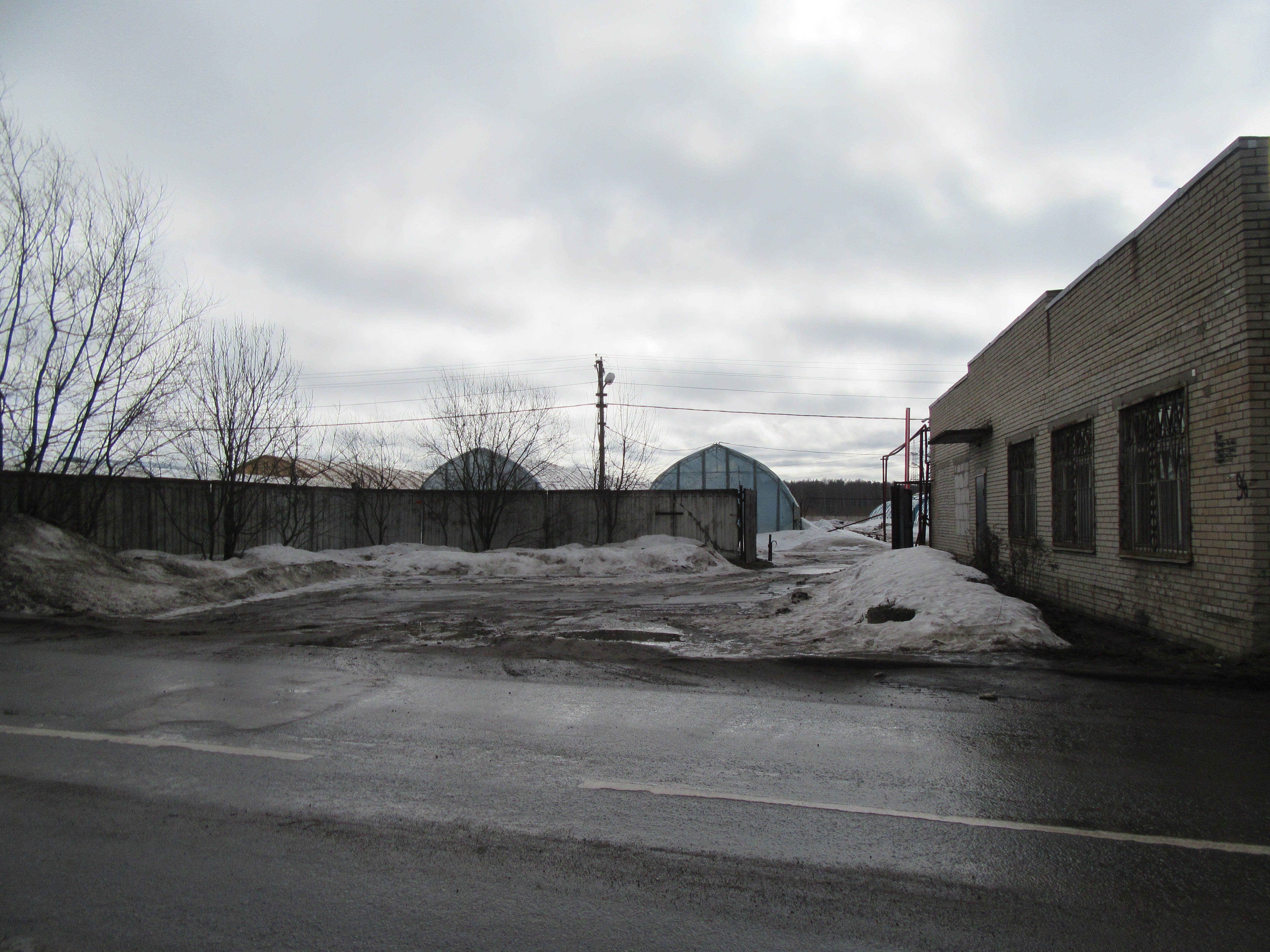 Совхоз пригородный парголово. Ооо спк пригородный. Совхоз пригородный ленинградская область. Свердловская пригородная компания. Спк пригородное свердловская область.