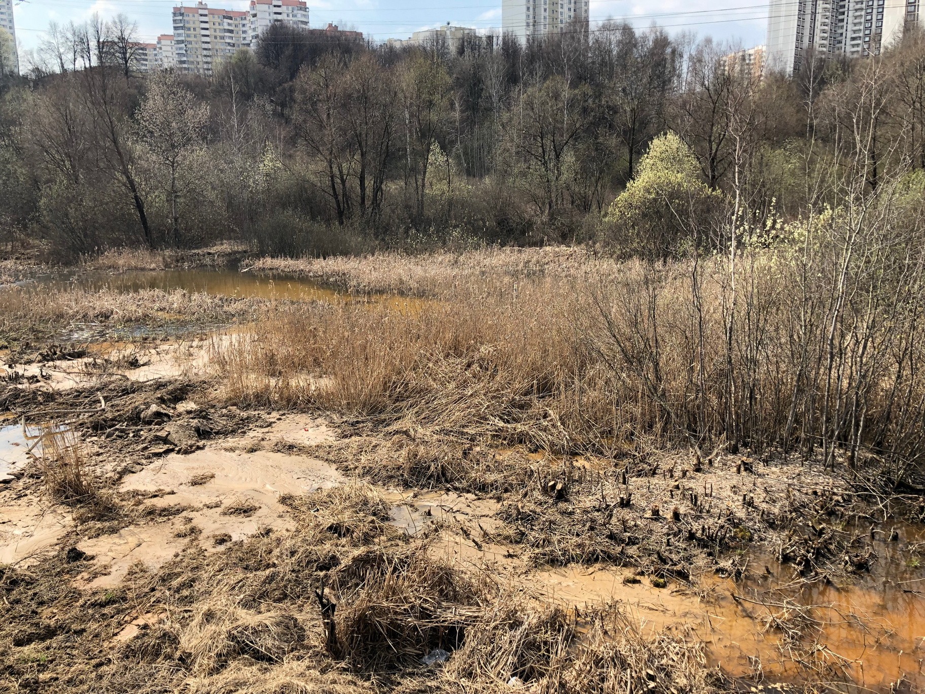 Москва на болотах