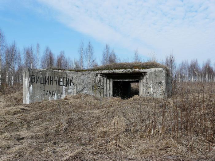 погода екимовичи на 10 дней