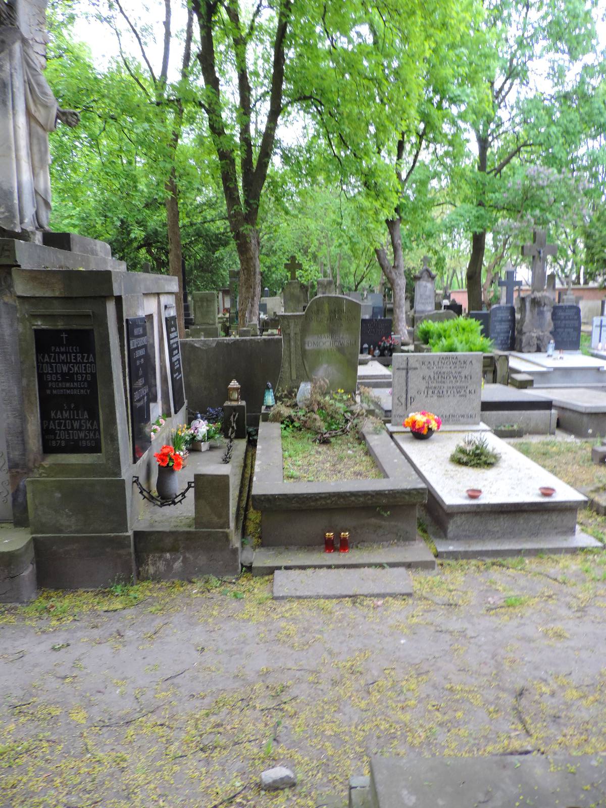 The tomb of Mariusz Dmochowski - Warsaw | grave