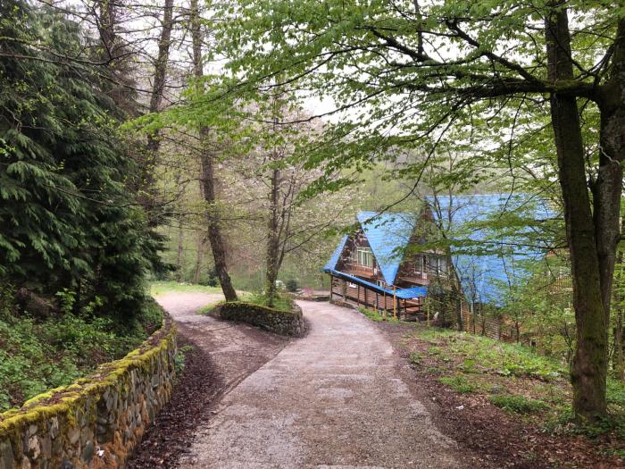 ореховая роща дома. ореховая роща эсто садок. ореховая роща сочи. ореховая роща дома. ореховая роща ростов.