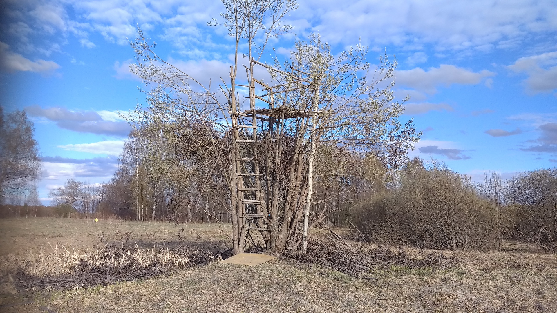 Погода в лабазах. Лабаз. Лабаз в городе. Вышка для засидки на кабана. Село лабазы.