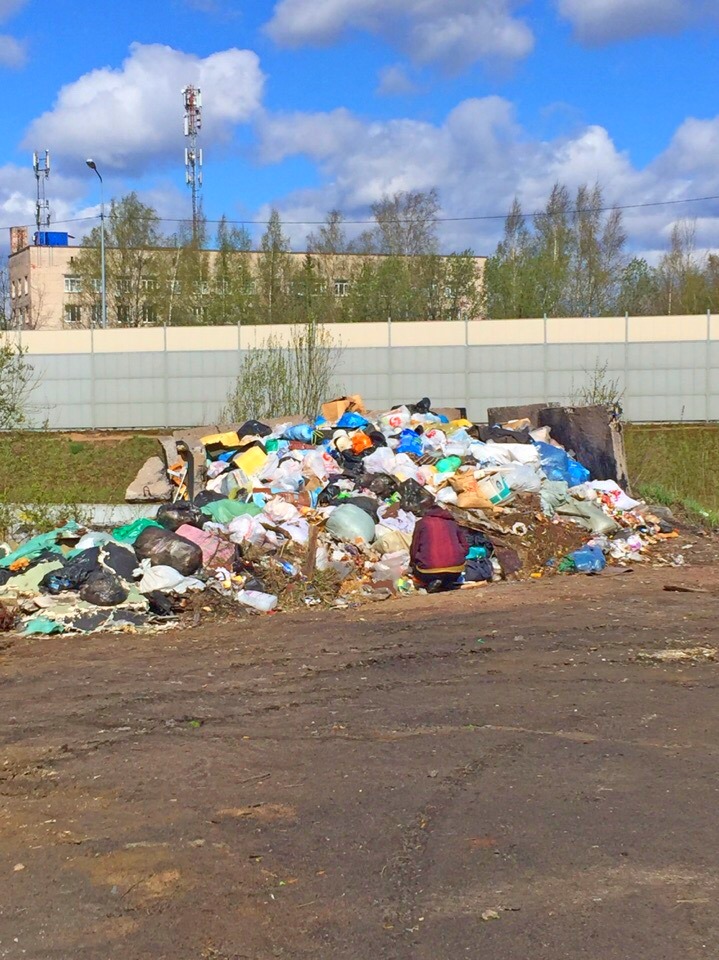 Проект свалка в санкт петербурге