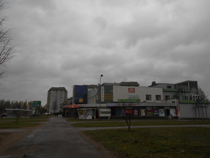 На Документы Всеволожск