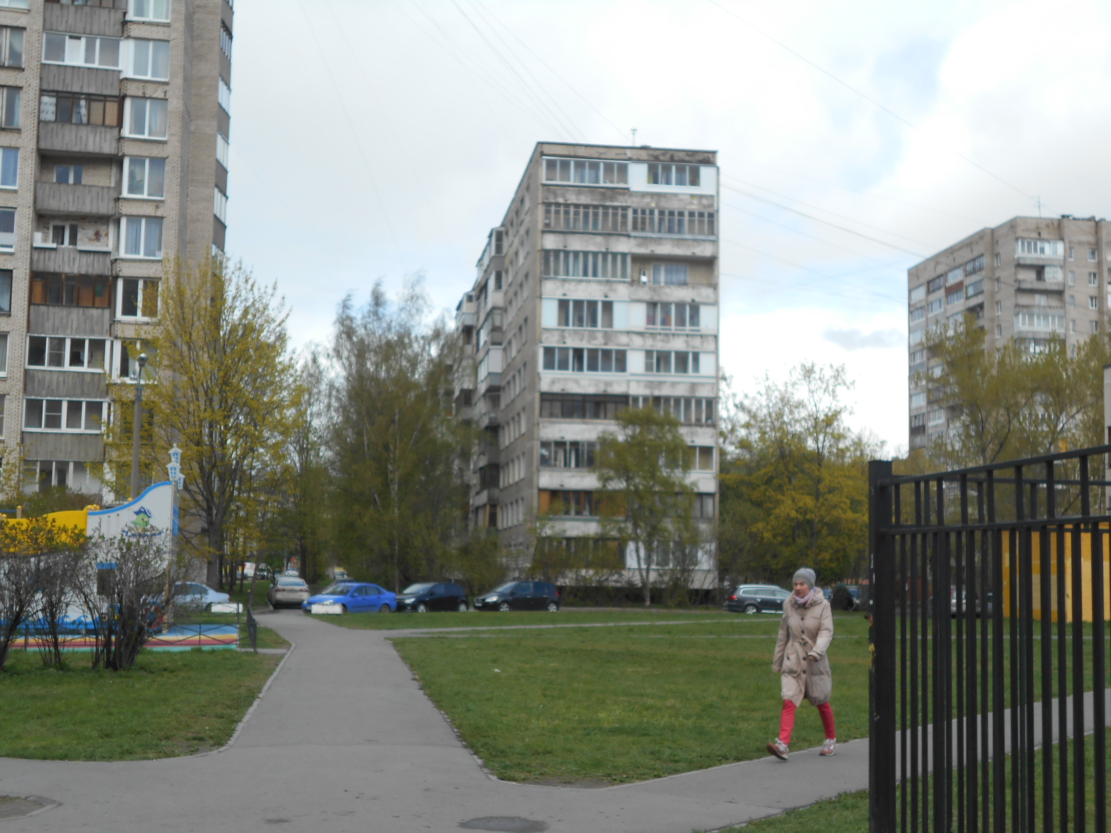 товарищеский проспект санкт петербург