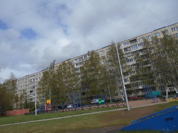 Товарищеский проспект. Товарищеский проспект 1 корпус 1. Товарищеский проспект 16 корпус 1. Товарищеский проспект 28 корпус 1. Санкт-Петербург, товарищеский проспект,6 к5.