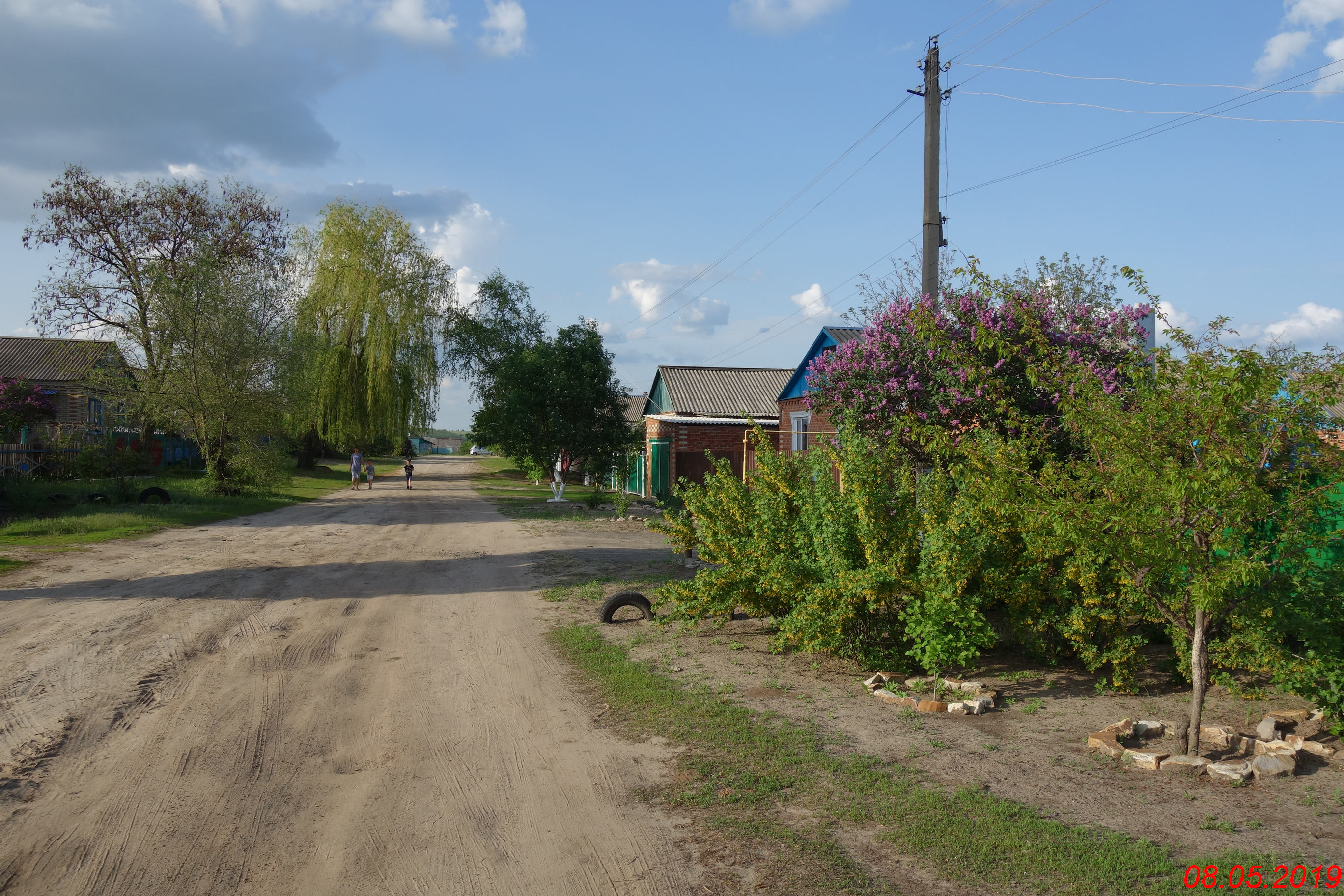 Погода слобода. Слобода Терновая Миллеровский район. Ростовская область Миллеровский район Слобода Терновая. Слобода Дегтево Миллеровский район. Ольховый Рог Миллеровский район Ростовская.