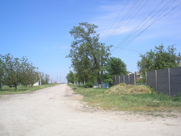 Село зерновой брянская область. Село роскошное Джанкойский район. Село зерновое Крым. Зерновое (Джанкойский район). Село зерновое Джанкойский район.