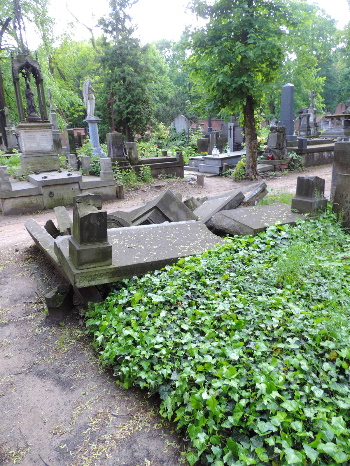 The grave of Kurowski family - Warsaw