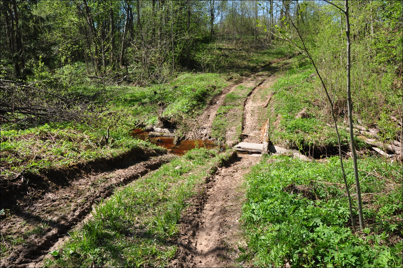 Карманово река. Дорога межник шимский район. Д брод. Новый брод ленинградская область. Река собжа.