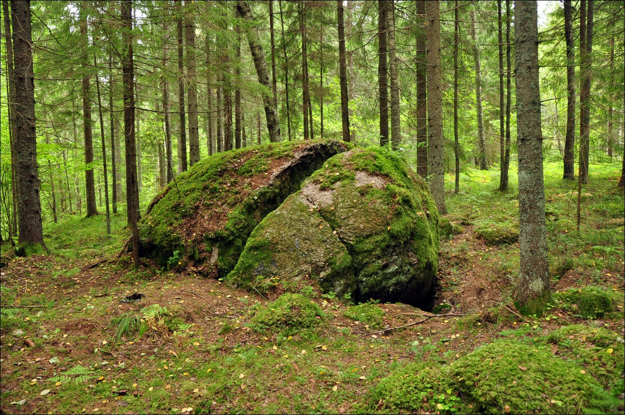 парк большой камень