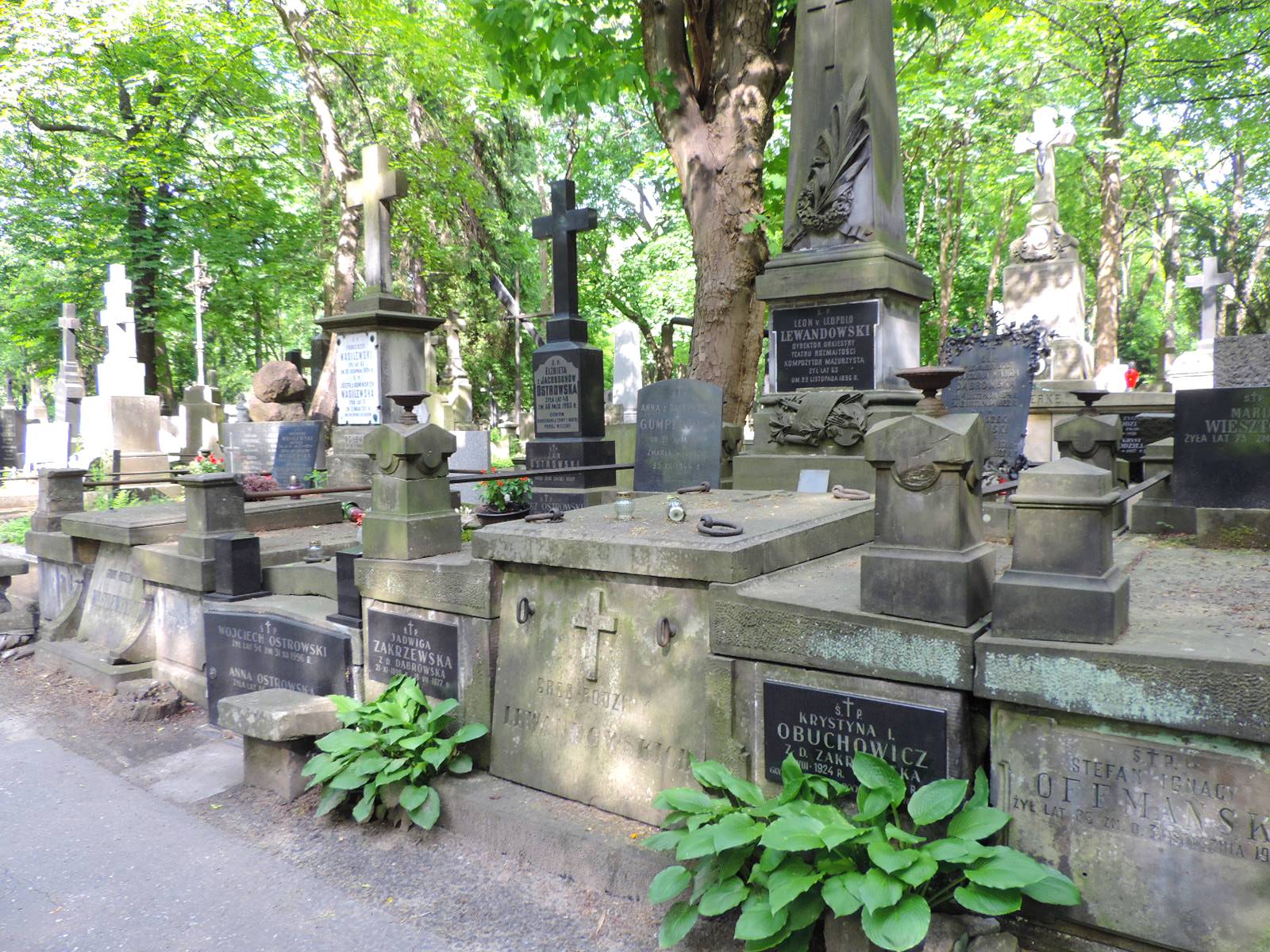 The grave of Leopold Leon Lewandowski - Warsaw | obelisk