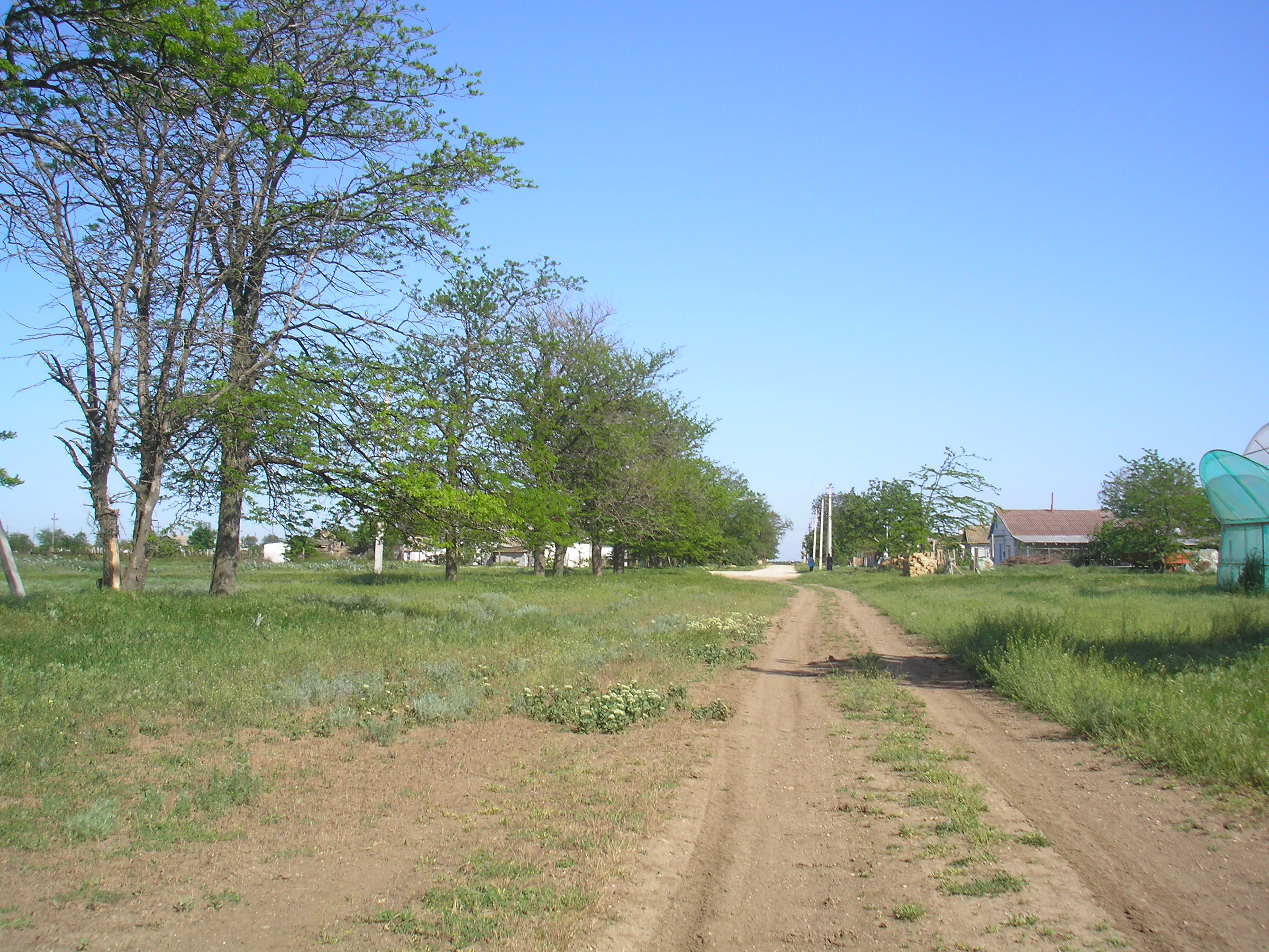 Село ясное. РЮМШИНО Джанкойский район. Ясное (Джанкойский район). Село городок Ружинский район Житомирская область.