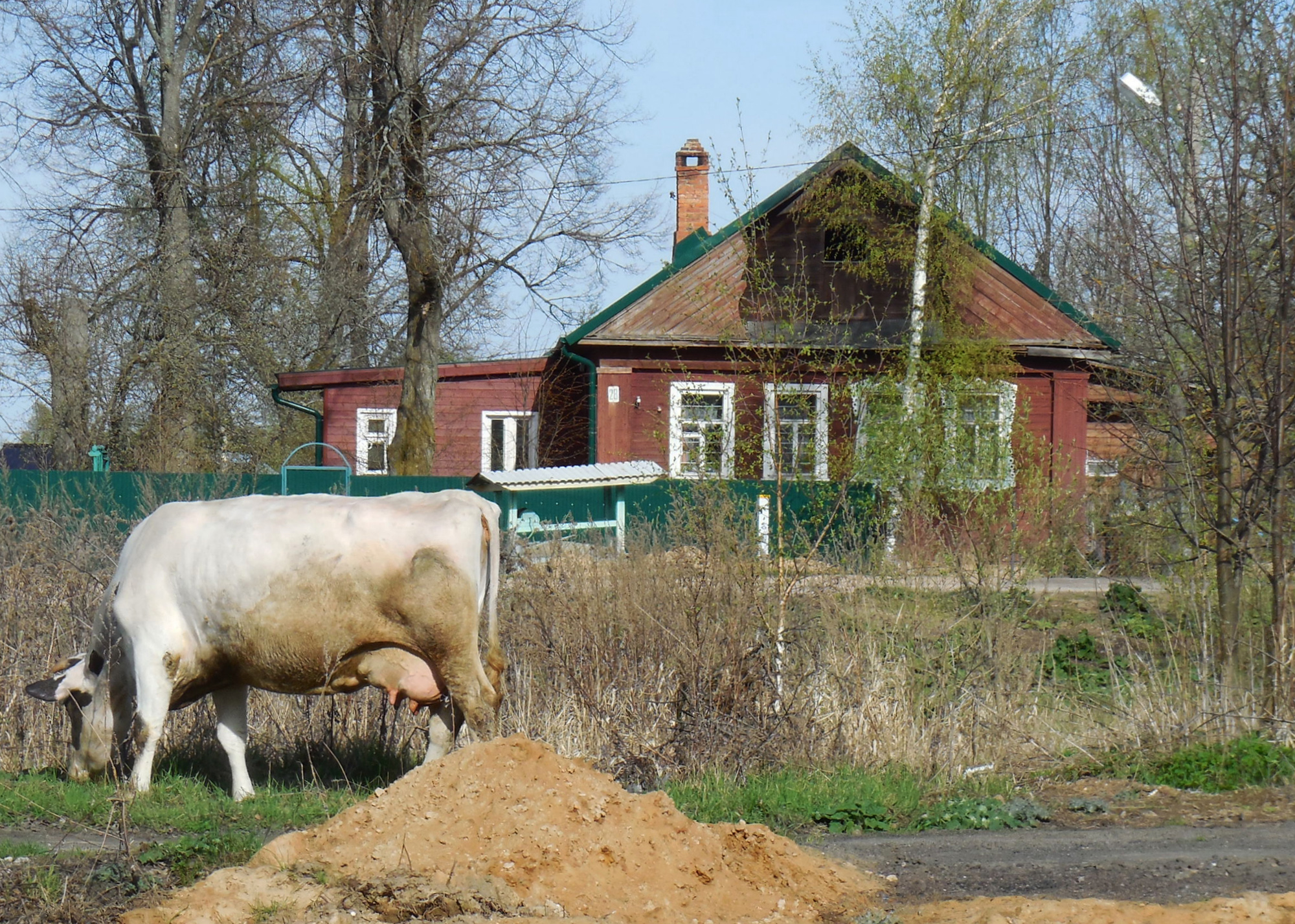 Великий двор