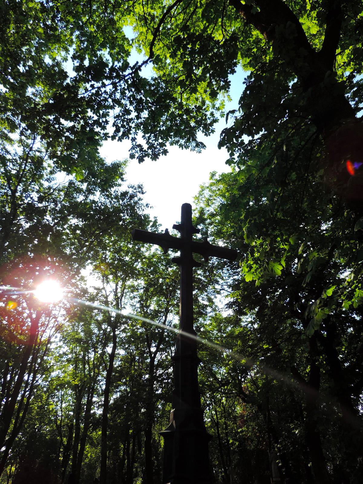 The grave of Wojciechowski and Bogatko family - Warsaw