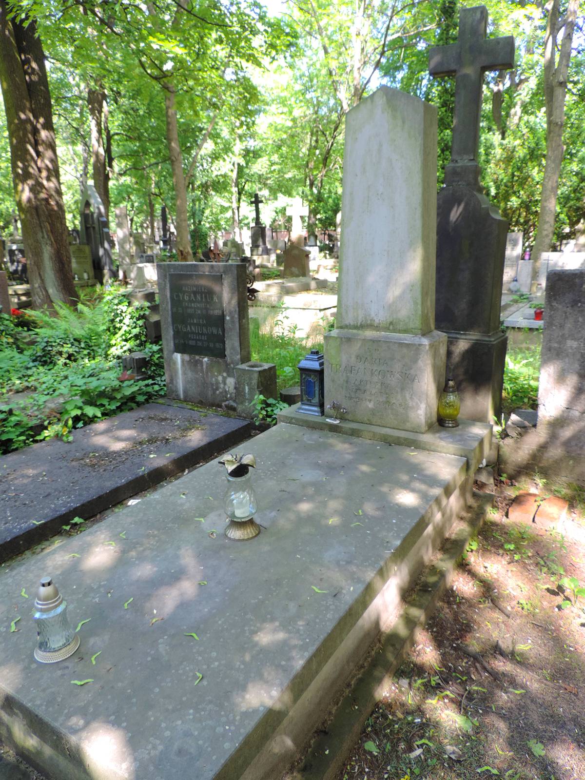 The grave of Daria Trafankowska - Warsaw | obelisk