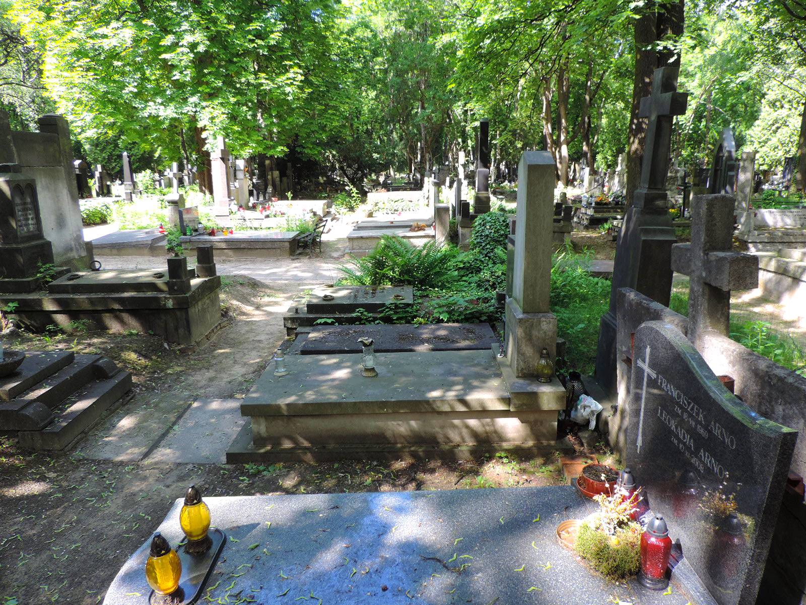 The grave of Daria Trafankowska - Warsaw | obelisk