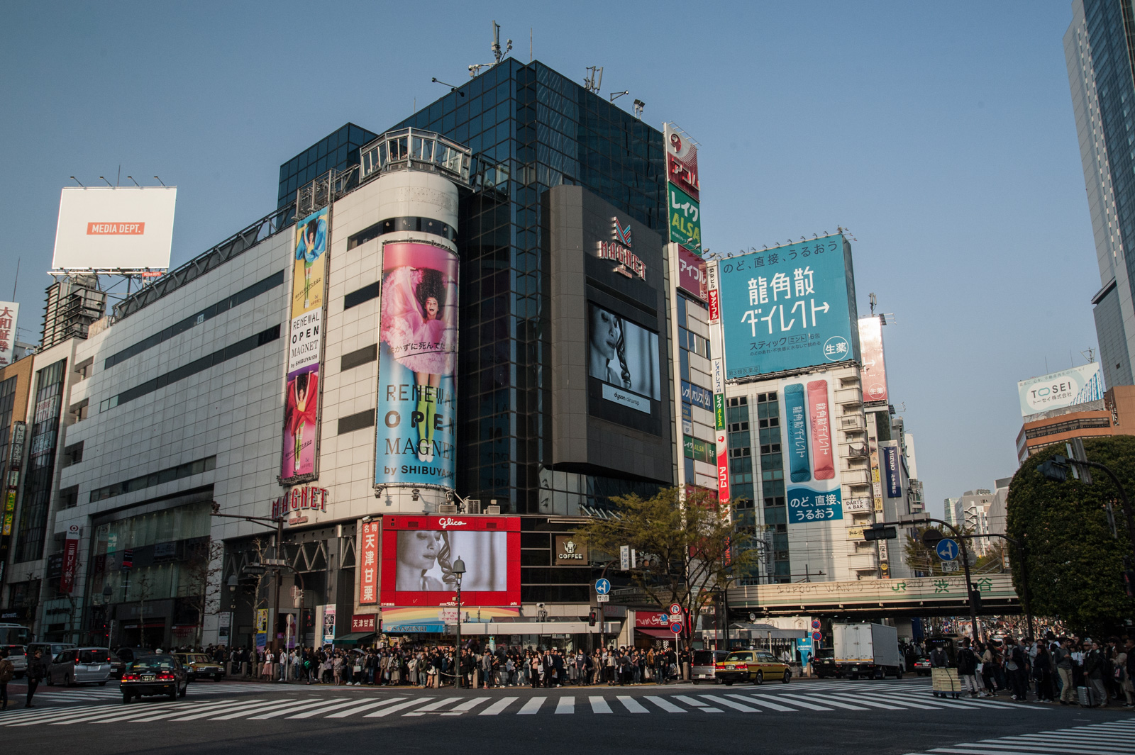 Shibuya Station Crossing - Tokyo