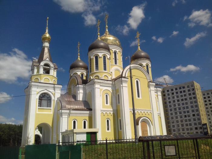 Храм Александра Невского в Пыхтино