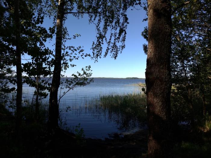 Озеро тигода новгородская область фото