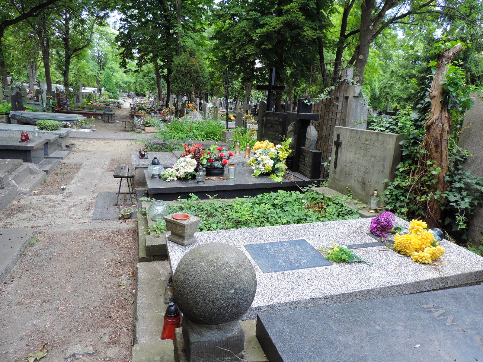 The grave of Witold Kałuski - Warsaw